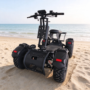 YMT ATV20 4WD electric all-terrain vehicle on the beach
