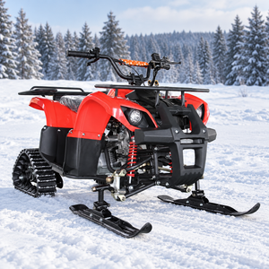 Complete 125cc ATV snowmobile with rear tracks and front skis
