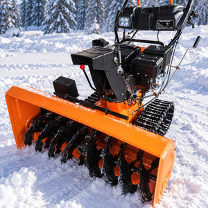 Tracked gas snow blower auger and intake housing